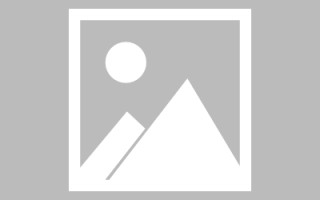 开平网页优化和设计人才（网站优化职位）